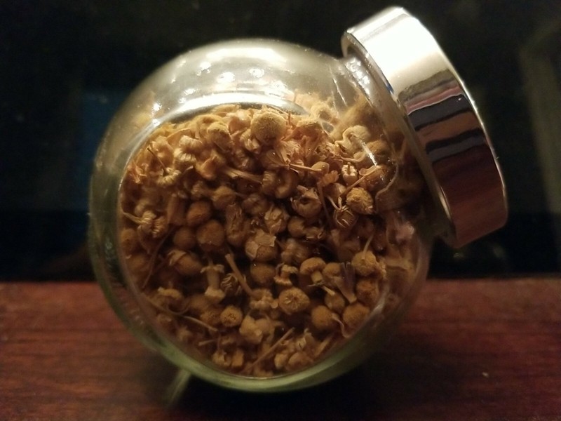 Organic German Chamomile Flowers Dried Real Potpourri in glass ball jar .60oz