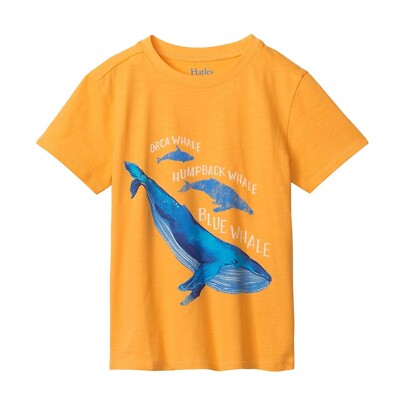Hatley T-Shirt Waale in orange-gelb  in den Größen 3- 7 Jahre