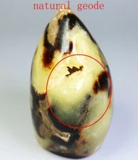 Natural Dragon Septarian Calcite Geode QUARTZ Crystal Free-form Stone Healing