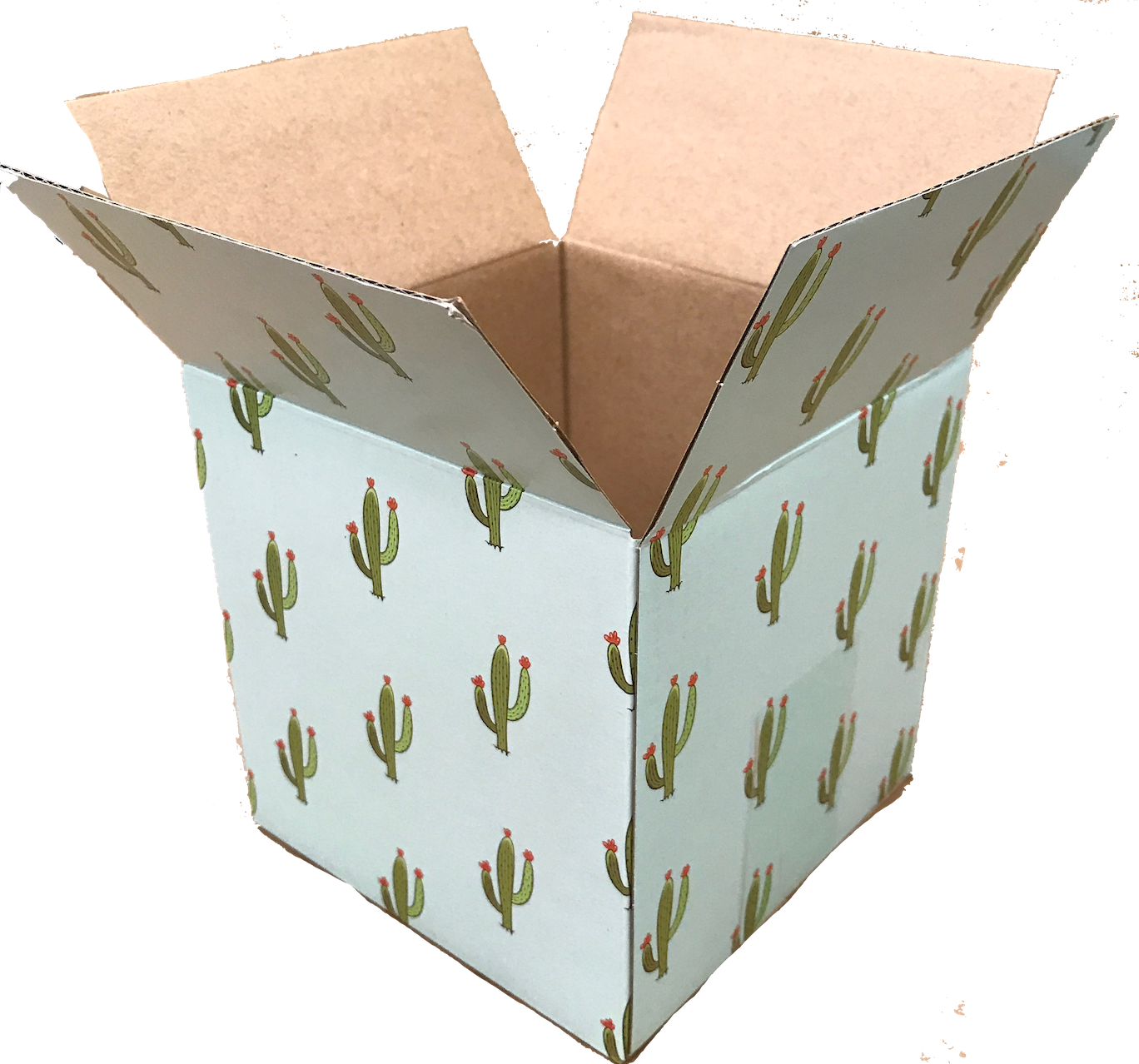 25 Designer Boxes corrugated custom printed Cardboard Box Shipping