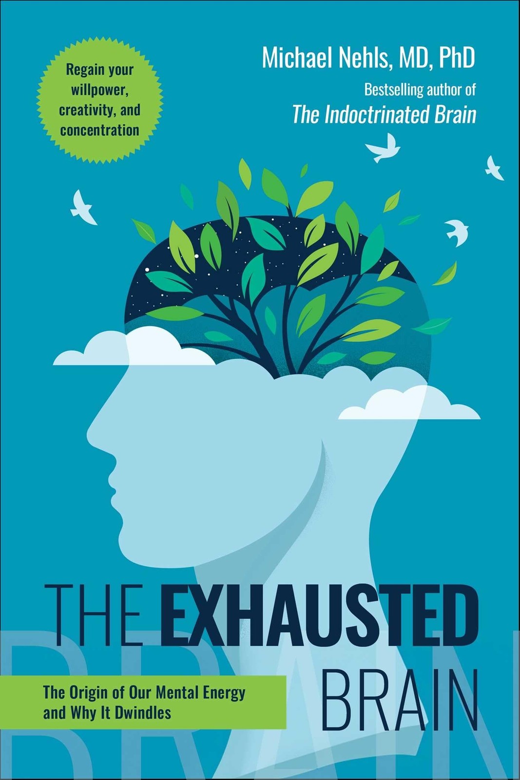 Exhausted Brain: The Origin of Our Mental Energy and Why It Dwindles by Michael - Image 6