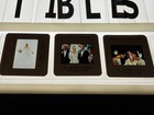 Muriel’s Wedding Press Kit Toni Collette Film Slides And Photo Stills — photo 2