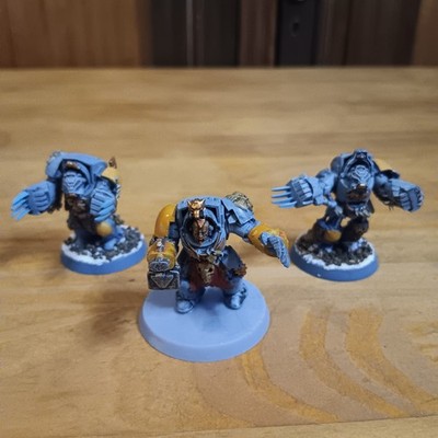 x3 Space Wolf Terminatoren Warhammer 40k bemalt