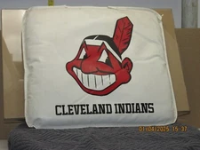 The listing is for:Cleveland Indians/Go Indians-Chief Wahoo Vintage seat cushion