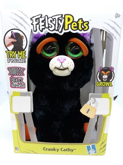 feisty pets black cat