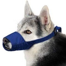 Four Flags Quick Muzzle, Large, Blue
