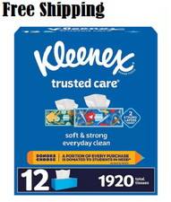 Kleenex Trusted Care 2-ply Facial Tissues, Flat Boxes 160 tissues/box, 12 boxes