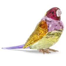 SWAROVSKI CRYSTAL IDYLLIA SCS GOULDIAN FINCH LARGE 5689265.NEW IN BOX.