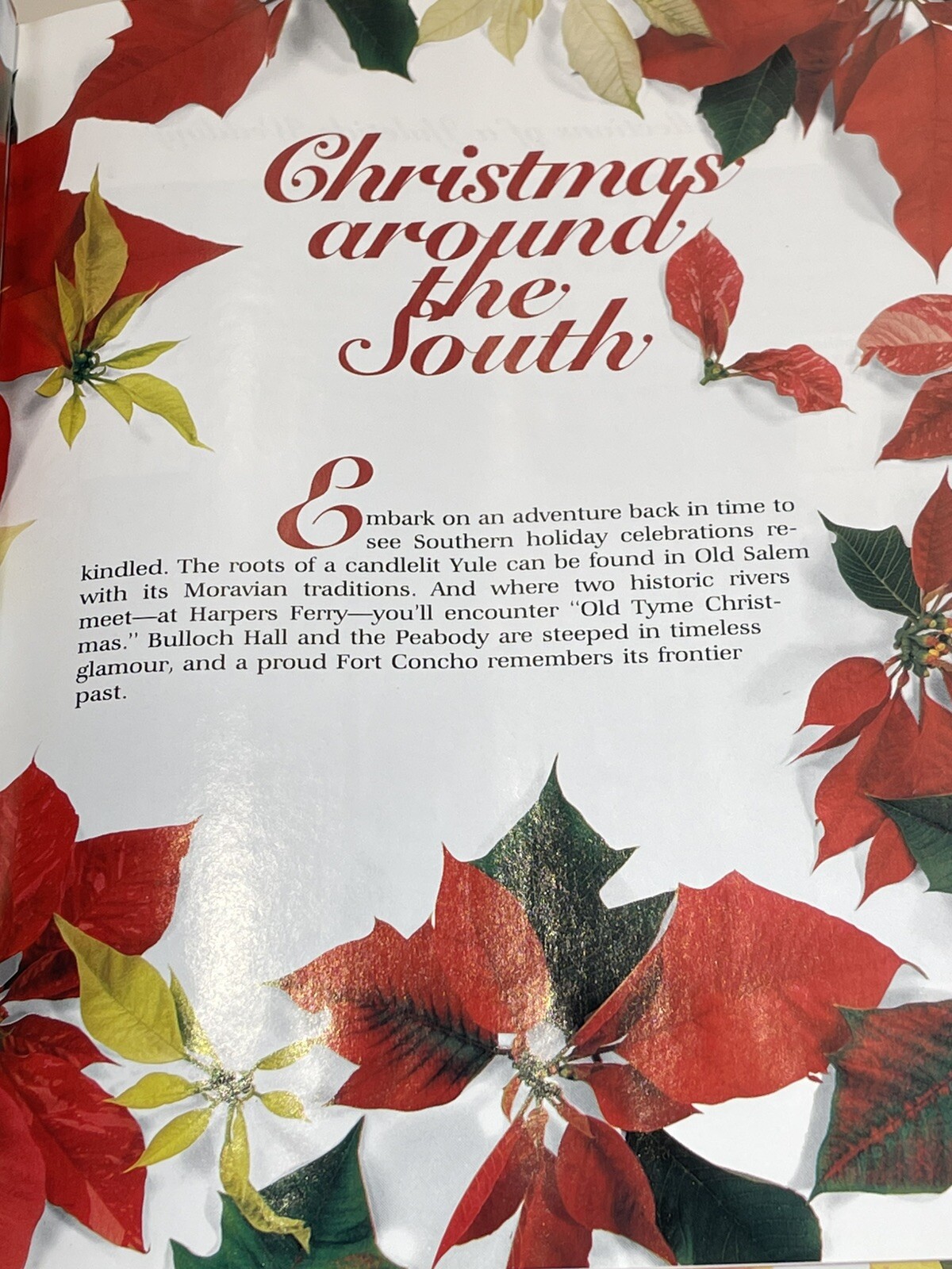 Picture 15 of 20