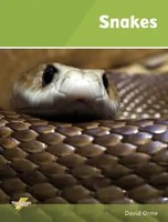 David Orme | Snakes | Taschenbuch | Englisch (2012) | Set 1 | Thunderbolts