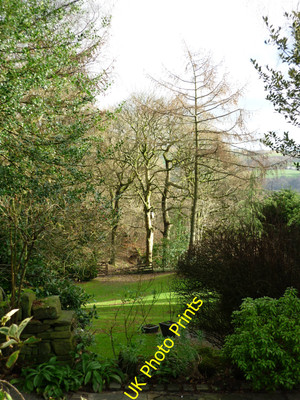 Foto 12x8 Half Acres, Holcombe Ramsbottom aufgenommen auf der Lumb Carr Road, Holcom c2015
