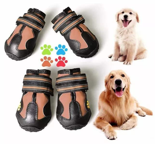 Cute dog boots cheap