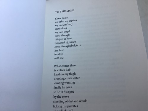 Out of Nowhere: New and Selected Poems by Mary Ann Taylor-Hall (2020 PB) - Picture 5 of 8