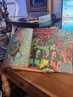Picture 21 of 24