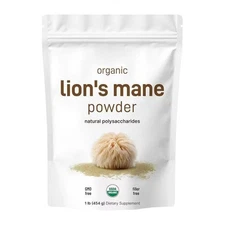 454g Micro Ingredients Organic Lions Mane Mushroom Supplement Powder
