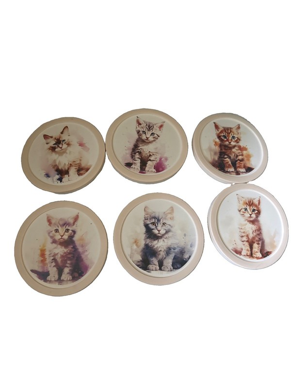 Capgun Absorbent Coasters with Holder Set of 6. The Happy Things Set.  Kitty