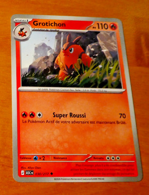 Pokemon Karte Karte Karte Grotichon 030/217 Transzendente Helden ASC FR MINT 2026