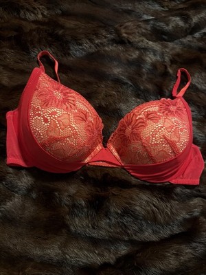 Daisy Fuentes ~ Womens Bra Push Up Underwire Lace RED LACE Embroidered 38C VTG