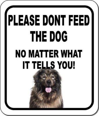 PLEASE DONT FEED THE DOG SARPLANINAC Metal Aluminum Composite Sign