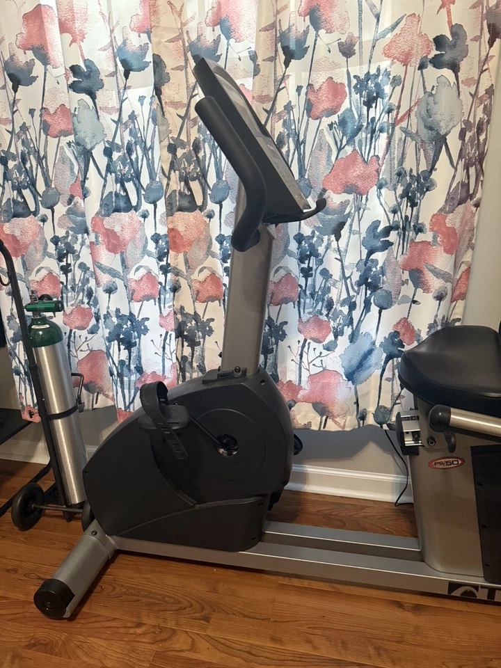 BICICLETA ESTACIONARIA RECLINADA TRUE PERFORMANCE 50 GRIS EJERCICIO Foto 3 de 4