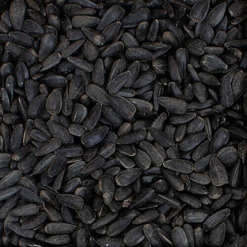 Black Sunflower Oil Rich Seeds for Wild Bird Food 25KG (2 x 12.5Kg)