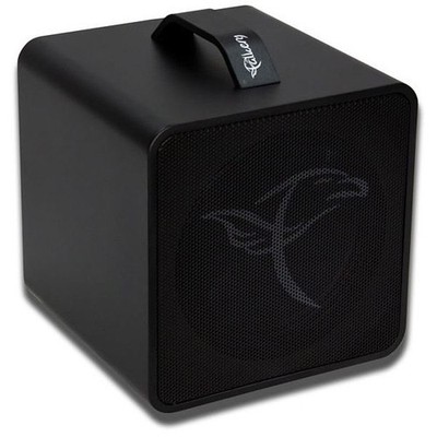 Akustikgitarren-Verstärker Falken1 Traveller black Amp Combo Gitarre Akustikgita