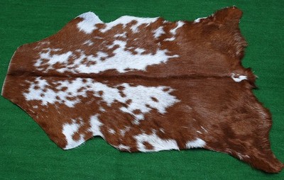 Luxus Ziegenfell Teppich Haar auf Fläche Teppich Größe 34''x22'' Tierleder Ziegenfell G29