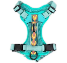 Lightweight Dog Harness with Reflective Straps - Medium - Seafoam