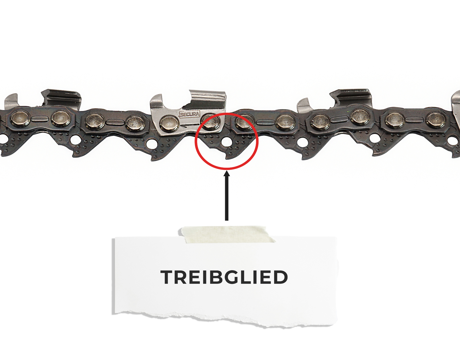 Sierra De Cadena Bosch AKE 350B 220V Comprar En C.Turró