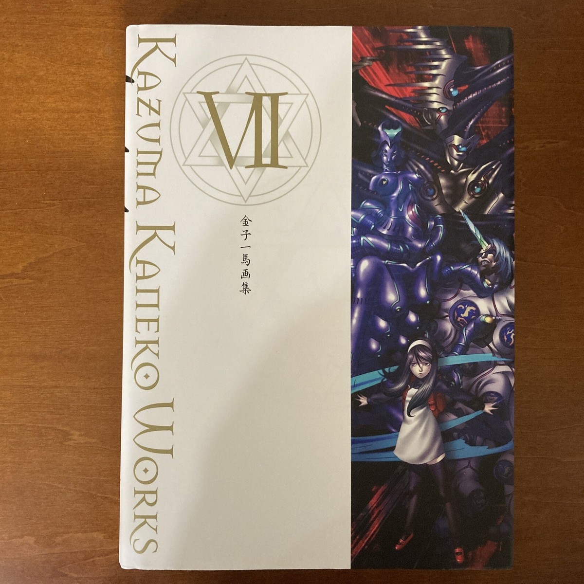 Kazuma Kaneko Art Book VII Illustration | eBay