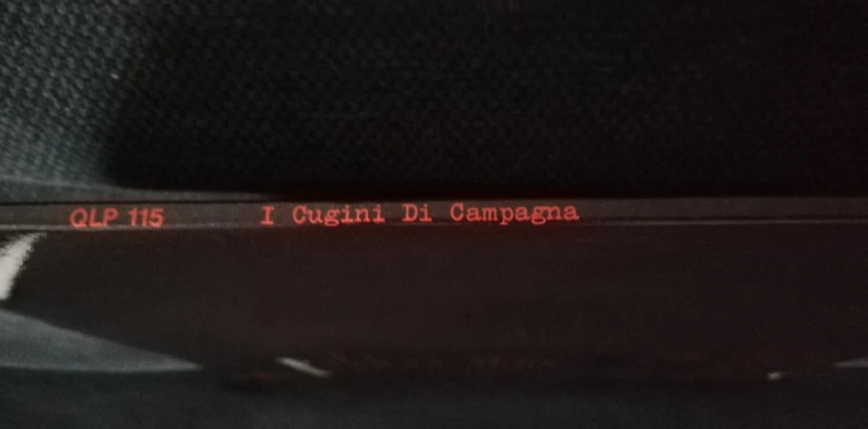LP I CUGINI DI CAMPAGNA Tu Sei Tu vinile 1a stampa originale 77 1st press EX++ - Immagine 3 di 3