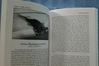 Picture 7 of 8