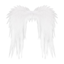 Adult Angel Wings 2.9Ft Angel Wings Costume Accessories for Women Costume Pho...