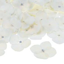12-Pack Dried Pressed Flowers for Resin, Real Natural Bulk Dry Floral White 