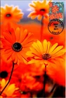Dr Jim Stamps 2011 Garden Of Love Orange Flower First Day Issue Photo Paper Card