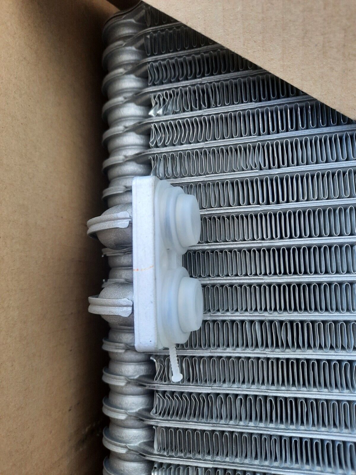 Picture 5 of 5