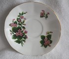 Elizabethan Fine Bone China Canadian Provincial  "Mayflower" Teacup & Saucer — photo 3