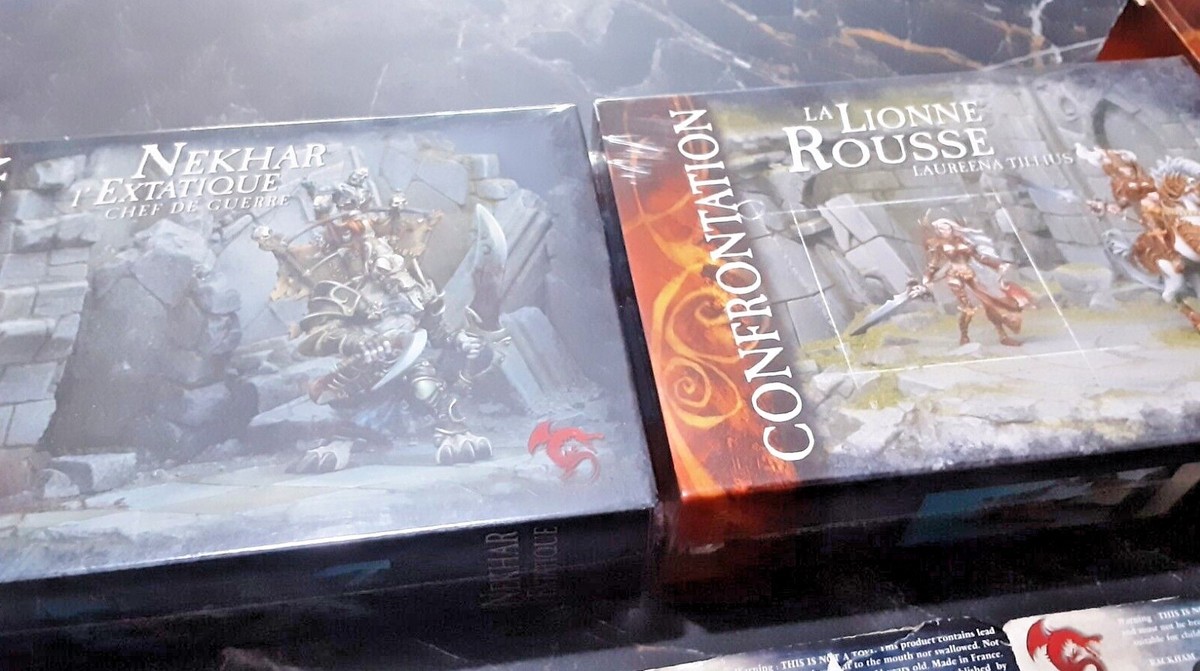 confrontation jeu de figurines rackham