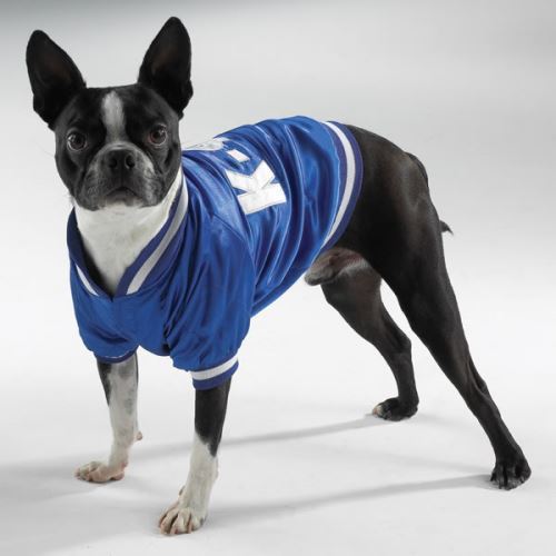 Dog Baseball Jacket Large Size by 