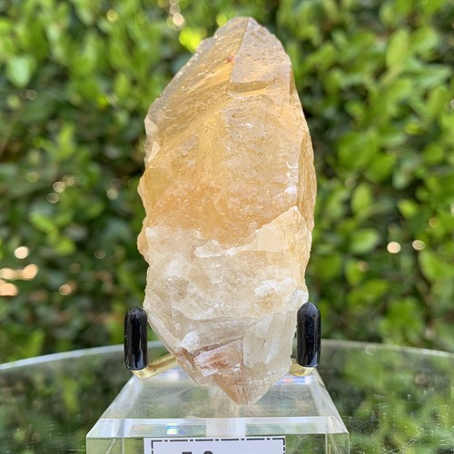 122.0g 9x4x3cm Gold Yellow Honey Calcite from China - Picture 4 of 5