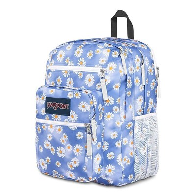 grey mystic cosmos jansport