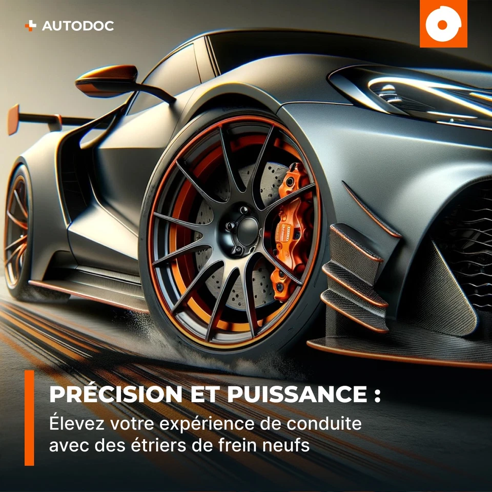 FERODO FCL695156 Étrier de frein pour RENAULT Scénic I (JA0/1, FA0) Arrière - Photo 2/4