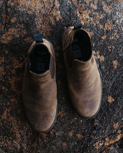 Globe Dover II Dark Brown/Wasted Talent Mens Streetwear Skate Apparel - Picture 4 of 5