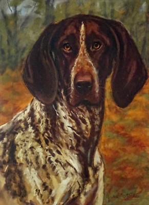 GERMAN SHORTHAIRED POINTER GSP DOG  ART LIMITED EDITION PRINT by Julie Stooks