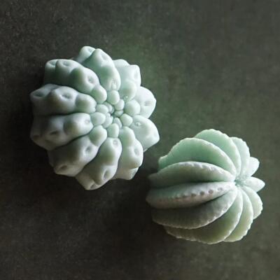 Round Mint Green Succulent Cactus 2 in Wall Sculpture Organic Shape Outdoor Safe