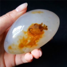TOP 167G Natural Polished “Aquatic Plant” Agate  Stone Madagascar YP200