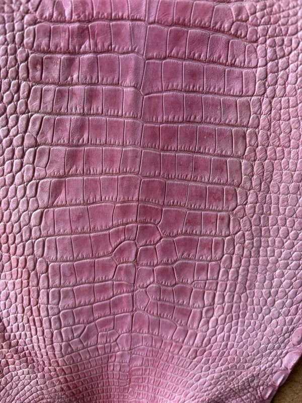 Wild Alligator Gator Belly Professionally Tanned In Pastel Pink