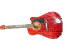 Washburn Dreadnought Guitar