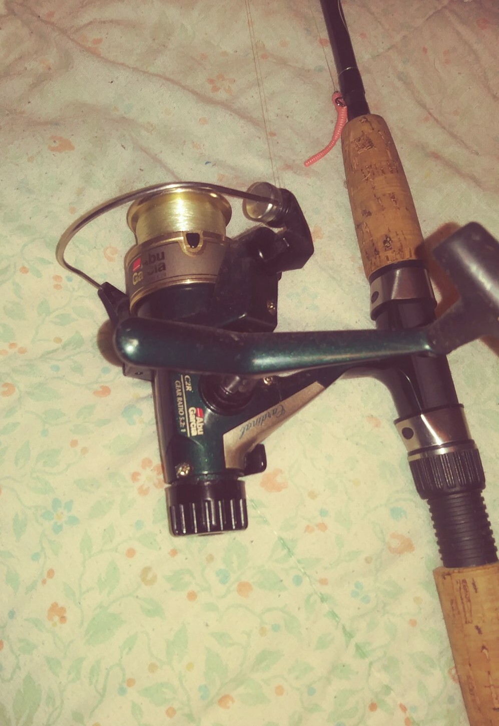 Mitchell Avocet Fishing Pole With Abu Garcia C2R Cardinal Spinning Reel