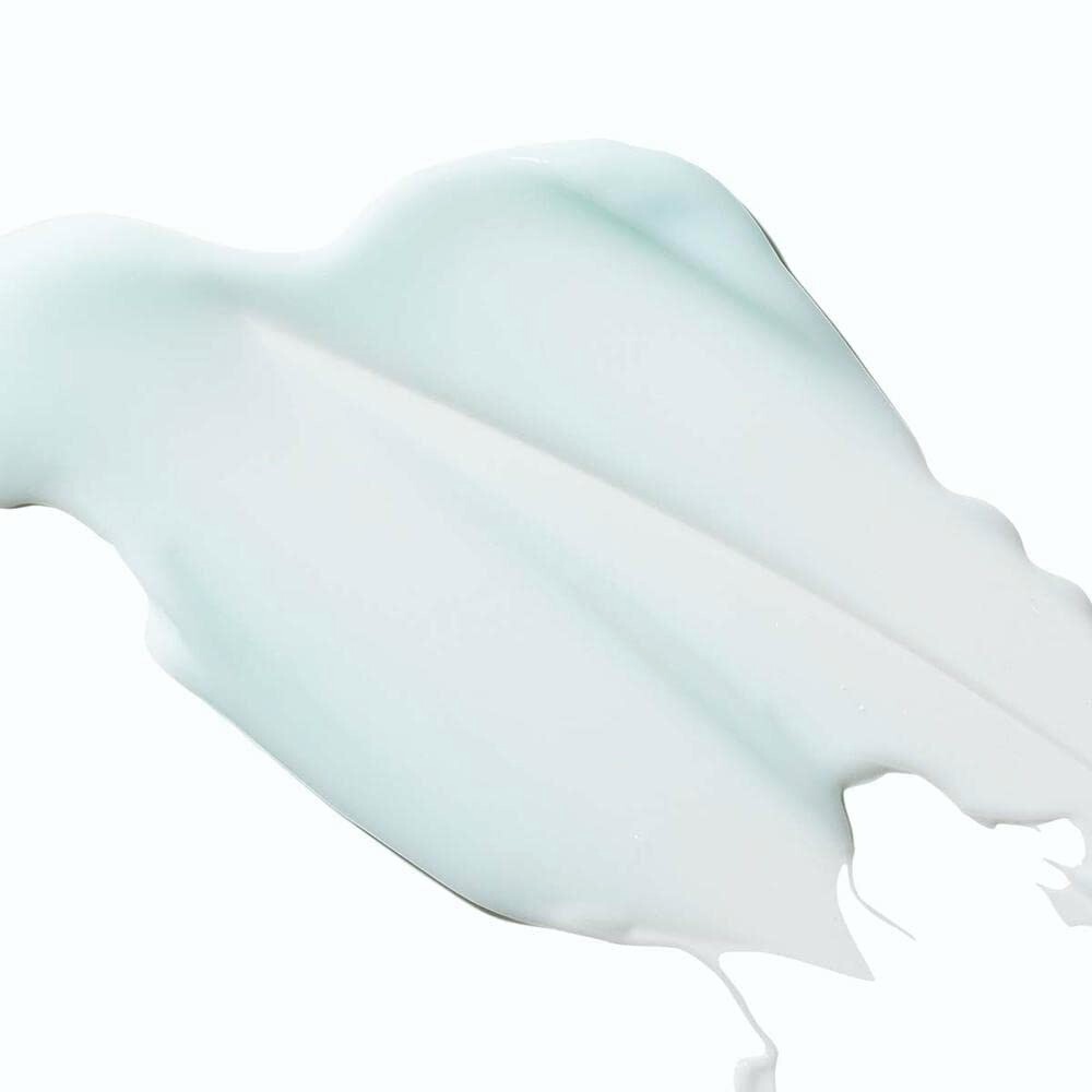Dr. Dennis Gross Hyaluronic Marine Oil-Free Moisture Cushion 50ml 1.7fl oz